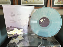 Load image into Gallery viewer, REBIRTH + DESPAIR