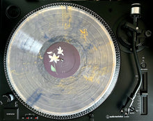 Load image into Gallery viewer, REBIRTH + DESPAIR